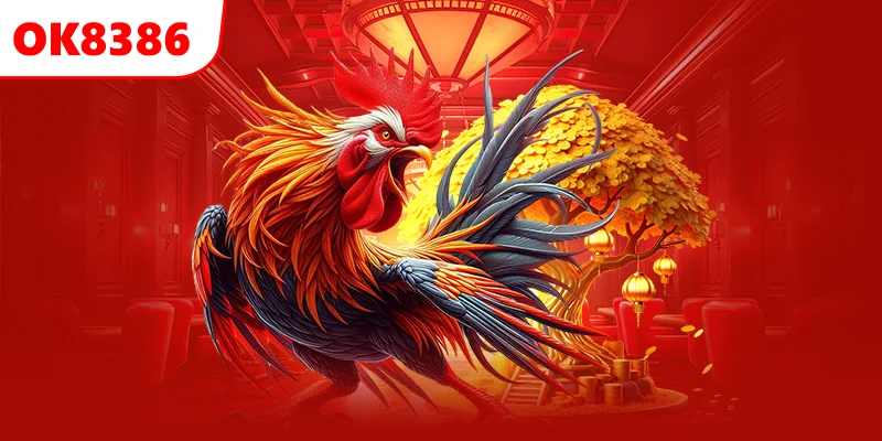 Khám phá tổng quan về loại hình đấu gà